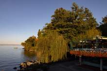 Terrasse du restaurant Yvoire 74 sur le Lac Léman, Hôtel Restaurant du Port